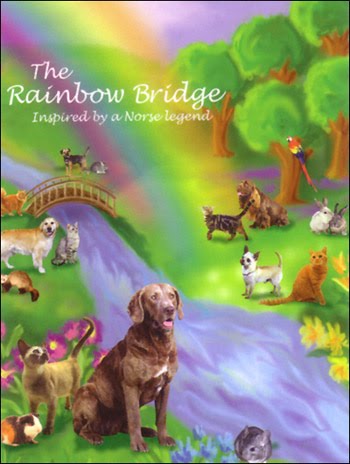 rainbowbridge_smnorse