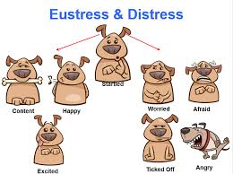 eustress