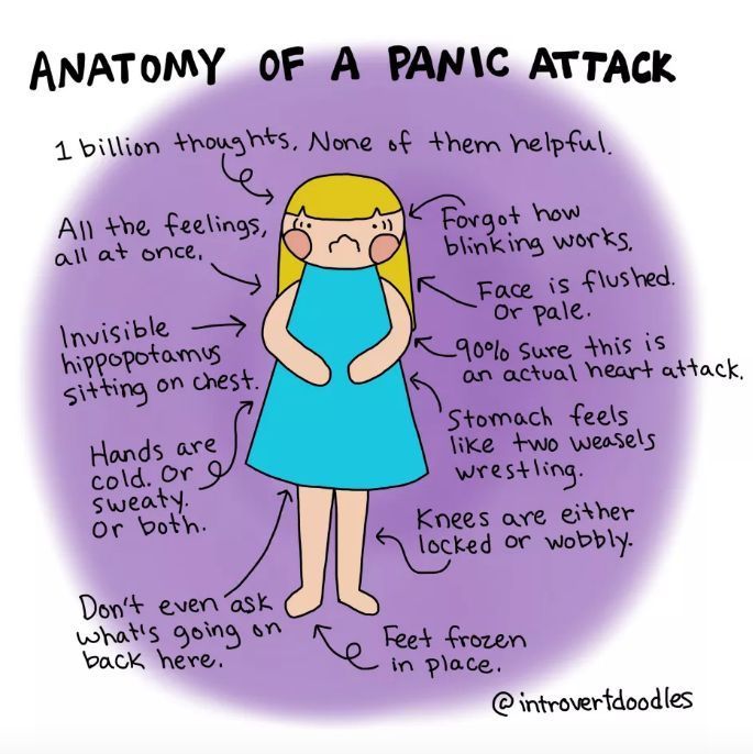 anatomy of panic