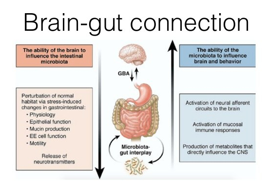 brain-hacking-101-6-638