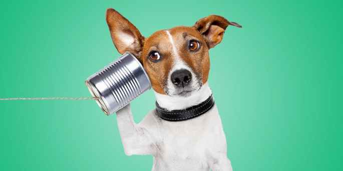 working-on-listening-skills