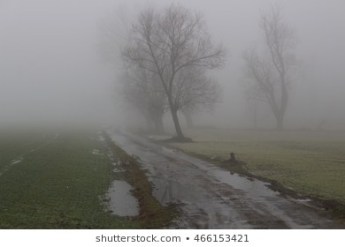 dreary-rural-road-landscape-on-260nw-466153421