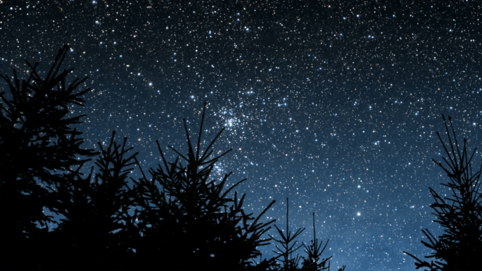 timelapse-of-starry-night-sky-and-swaying-fir-trees_h3geiyzmx_thumbnail-full01
