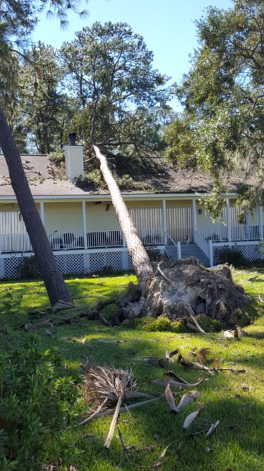house front after storm