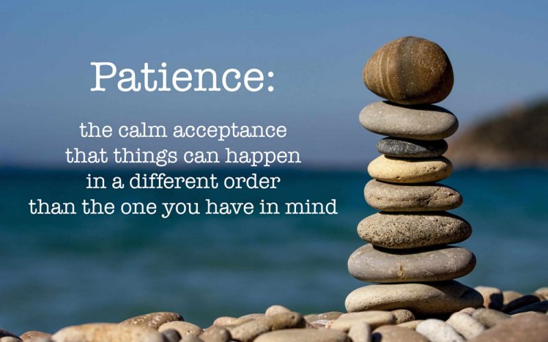 Patience-800x500