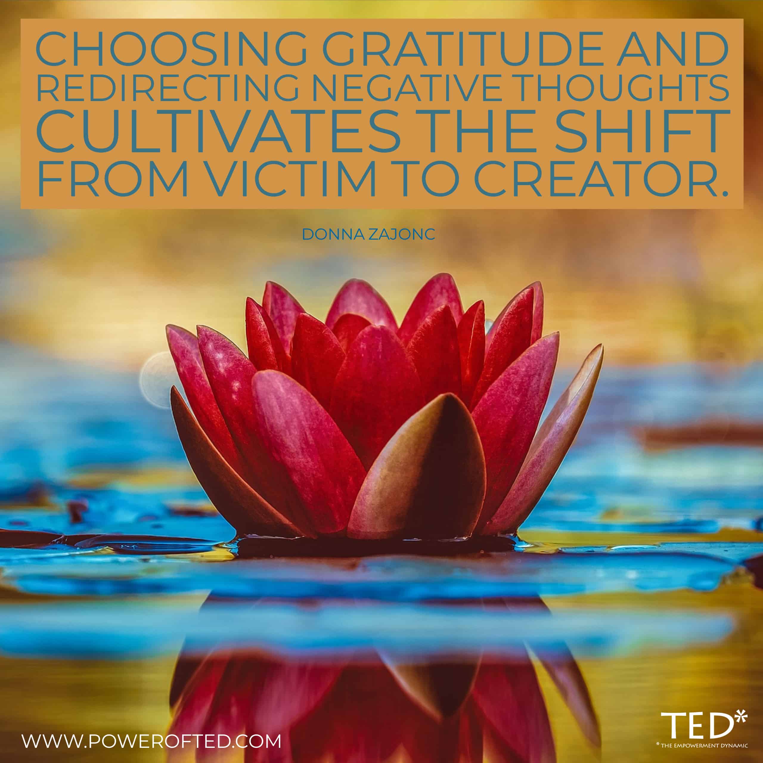 choosing-gratitude