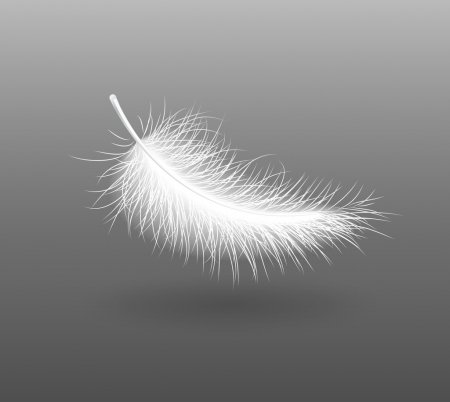 feather-falling-light-small-white